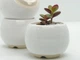 Керамический горшок для растений Mini Plant размер XS 5,2х5,1см Круглый Белый - изображение 2
