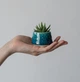 Керамический горшок для суккулентов Mini Plant размер XS 4,9х5,2см Бирюзовый Bubble - изображение 1