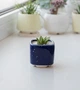 Керамічний горщик для кактусів Mini Plant розмір XS 5,2х5,1см Квадратний Синій Клеопатра - зображення 1