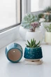 Керамический горшок для суккулентов Mini Plant размер XS 4,9х5,2см Бирюзовый Bubble - изображение 2