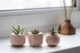 Керамический горшок для суккулентов Mini Plant размер XS 4,9х5,2см Трапеция Розовый - изображение 2