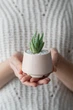 Керамический горшок для суккулентов Mini Plant маленького размера 6,3х6,4см Трапеция Розовый - изображение 2