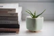 Керамический горшок для кактусов Mini Plant размер XS 5,2х5,1см Квадратный Мятный - изображение 1