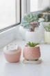 Керамический горшок для растений суккулентов Mini Plant размер XS 4,9х5,2см Розовый Bubble - изображение 2