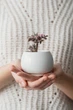 Керамический вазон для цветов Mini Plant маленького размера 6,2х6,3см Круглый Белый - изображение 3