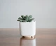 Керамический горшок для кактусов Mini Plant маленького размера 6,4х6,5см Квадратный Белый - изображение 1