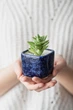 Керамічний горщик для кактусів Mini Plant маленького розміру 6,4х6,5см Квадратний Синій Клеопатра - зображення 2