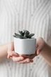 Керамический горшок для кактусов Mini Plant маленького размера 6,4х6,5см Квадратный Белый - изображение 3
