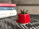 Керамический горшок для кактусов Mini Plant размер XS 4,9х5,2см Трапеция Красный - изображение 2