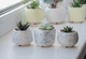 Керамический горшок для кактусов Mini Plant размер XS 4,9х5,2см Трапеция Белый Блаугранити - изображение 3