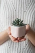 Керамический горшок для кактусов Mini Plant маленького размера 6,4х6,5см Квадратный Розовый - изображение 1