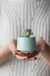 Керамический горшок для суккулентов Mini Plant маленького размера 6,3х6,4см Трапеция Мятный - изображение 2