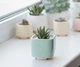 Керамический горшок для растений Mini Plant маленького размера 6,4х6,5см Квадратный Мятный - изображение 1