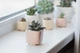 Керамический горшок для кактусов Mini Plant маленького размера 6,4х6,5см Квадратный Розовый - изображение 2