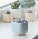 Керамический горшок для растений Mini Plant маленького размера 6,4х6,5см Квадратный Голубой - изображение 1