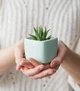 Керамический горшок для растений Mini Plant маленького размера 6,4х6,5см Квадратный Мятный - изображение 2