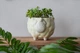 Керамический вазон для растений Mini Plant Овечка Животное желтая, размер 10,5 x 9,5 см - изображение 1