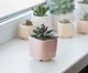 Керамический горшок для кактусов Mini Plant маленького размера 6,4х6,5см Квадратный Розовый - изображение 5