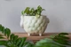 Керамический вазон для растений Mini Plant Овечка Животное желтая, размер 10,5 x 9,5 см - изображение 3
