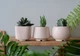 Керамический горшок для кактусов Mini Plant маленького размера 6,4х6,5см Квадратный Розовый - изображение 6
