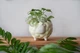 Керамический горшок для растений Mini Plant Овечка Животное желтая, размер 7,5 x 8,5 см - изображение 1