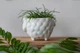 Керамический вазон для растений Mini Plant Овечка Животное белая размер 10,5 x 9,5 см - изображение 3