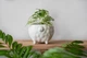 Керамический горшок для растений Mini Plant Овечка Животное белая, размер 7,5 x 8,5 см - изображение 5