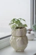 Керамический горшок для растений Mini Plant Овечка Животное желтая, размер 7,5 x 8,5 см - изображение 6