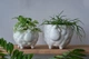 Керамический вазон для растений Mini Plant Овечка Животное белая размер 10,5 x 9,5 см - изображение 5
