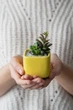Керамический горшок для суккулентов Mini Plant маленького размера 6,4х6,5см Квадратный Яркий Желтый - изображение 3