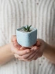 Керамический горшок для кактусов Mini Plant размер XS 5,2х5,1см Квадратный Голубой в крапинку - изображение 2