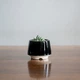 Керамический горшок для суккулентов Mini Plant размер XS 4,9х5,2см Трапеция Черный - изображение 1