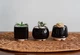 Керамический горшок для суккулентов Mini Plant размер XS 4,9х5,2см Трапеция Черный - изображение 3