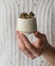 Керамический горшок для кактусов Mini Plant размер XS 4,9х5,2см Трапеция Бежевый в крапинку - изображение 2