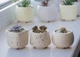 Керамический горшок для кактусов Mini Plant размер XS 4,9х5,2см Трапеция Бежевый в крапинку - изображение 3