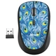 Миша Trust Yvi Wireless Peacock (TR23388) - зображення 1