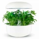 Бугила (кревель) Plantui 3 капсулы (H005) - изображение 2