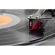 Проигрыватель винила Pro-Ject Debut Carbon EVO 2M-Red High Gloss White - изображение 2