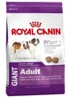 Royal Canin Giant Adult 4 кг сухой корм (Роял Канин) для собак очень крупных размеров - изображение 2