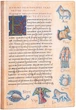 Нотатник Paperblanks Астрономіка – De Sideribus Tractatus 13 х 18 см 176 сторінок у лінійку (9781439772898) - зображення 2