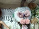 Лялька шарнірна Shantou Jinxing Емілі шатенка в зеленій сукні з аксесуарами 28 см (QJ 088 D) - зображення 2
