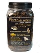 Личинка Черной львинки сухая Буся Phoenix Worm . Банка 600мл/200г - изображение 2