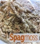 Мох новозеландский Besgrow Spagmoss (Спагмосс) Premier длинный 80 литров (1 кг) заводская упаковка - изображение 1