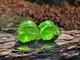 Серьги плаги WoodWork TUNNEL Round Green Foil 28 мм Деревянные - изображение 2