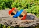 Серьги плаги WoodWork TUNNEL Round Red-Blue 50 мм Деревянные - изображение 6