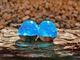 Серьги плаги WoodWork TUNNEL Round Blue Foil 34 мм Деревянные - изображение 4