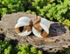 Серьги плаги WoodWork TUNNEL Round White Wood 28 мм Деревянные - изображение 4