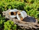 Серьги плаги WoodWork TUNNEL Round White Wood 28 мм Деревянные - изображение 7