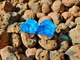 Серьги плаги WoodWork TUNNEL Round Blue Foil 34 мм Деревянные - изображение 11