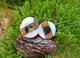 Серьги плаги WoodWork TUNNEL Round White Wood 28 мм Деревянные - изображение 3